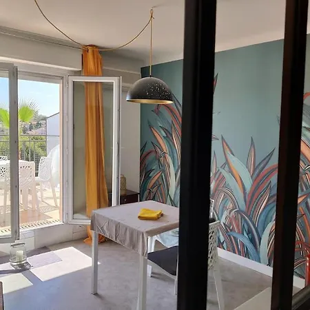 : Beautiful Flat With Large Terrace Αντίμπ